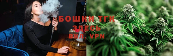 прущие грибы Каменка