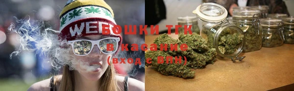 прущие грибы Каменка
