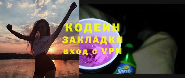 прущие грибы Каменка