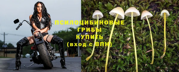 альфа пвп Каменногорск