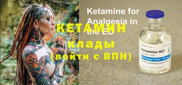 прущие грибы Каменка