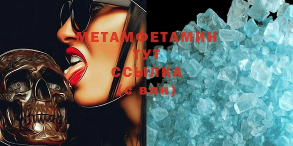 прущие грибы Каменка