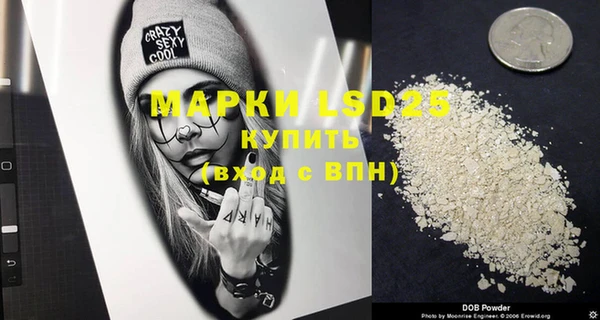 прущие грибы Каменка