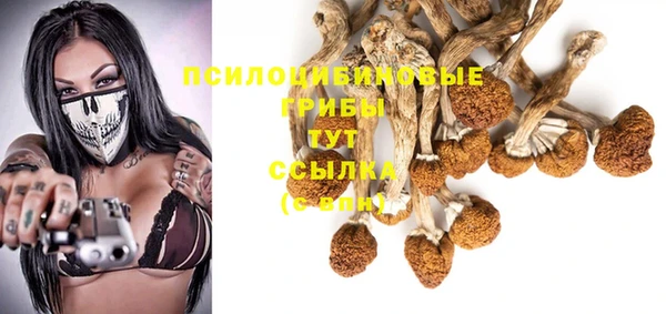 Альфа ПВП Каменск-Шахтинский