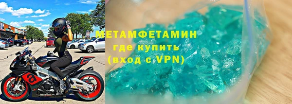 прущие грибы Каменка