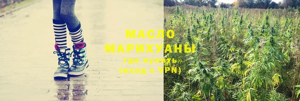 прущие грибы Каменка
